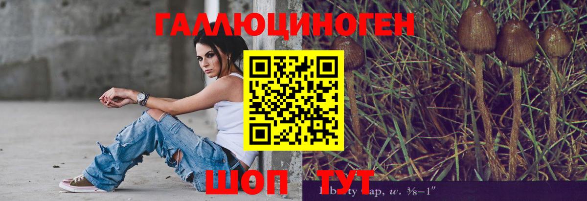 Галлюциногенные грибы Magic Shrooms Вязники