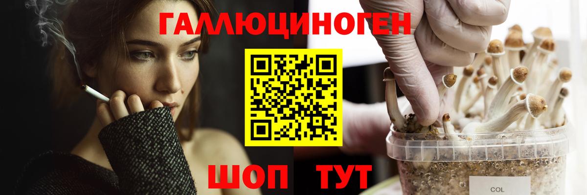 Псилоцибиновые грибы Cubensis Вязники